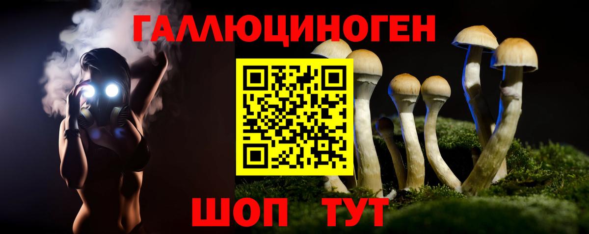 Галлюциногенные грибы ЛСД  Псилоцибиновые грибы Psilocybine cubensis  Вход с VPN  Александров 